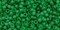 Toho 11/0 Round Japanese Seed Bead, TR11-7BF, Transparent Frost Grass Green, 13 grams